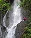 Oahu Nature Tours